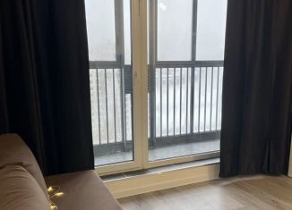 Сдам в аренду квартиру студию, 25.3 м2, поселок Бугры, Тихая улица, 3к2, ЖК Новые Горизонты