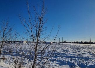 Земельный участок на продажу, 8 сот., деревня Блохино, Центральная улица, 1