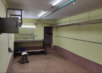 Гараж в аренду, 24 м2, Самарская область, проспект Степана Разина, 26А