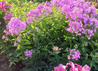 Продаю дом, 41 м2, Сыктывкар, 4-й проезд