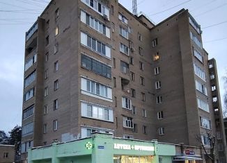 Продажа трехкомнатной квартиры, 62.8 м2, Электроугли, Советская улица, 9
