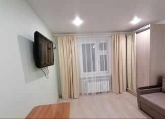 Сдаю в аренду квартиру студию, 20 м2, Татарстан, переулок Дуслык, 6