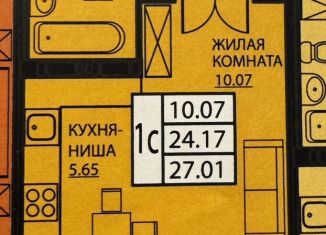 Продаю 1-комнатную квартиру, 23.2 м2, деревня Кондратово, улица Г.Н. Нифантова, 3к2, ЖК Медовый