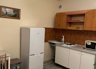 Квартира в аренду студия, 24 м2, Ижевск, улица Архитектора П.П. Берша, 37, Устиновский район