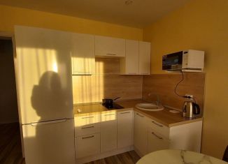 Сдается 1-ком. квартира, 40 м2, Иркутск, улица Бородина, 7