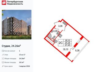 Продается квартира студия, 24.3 м2, Санкт-Петербург, метро Елизаровская