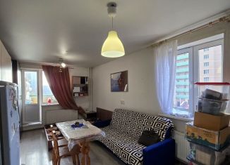 Сдам квартиру студию, 26 м2, посёлок Шушары, Первомайская улица, 5к3, ЖК Шушары