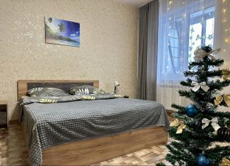 Аренда 1-комнатной квартиры, 44 м2, Красноярск, улица Республики, 37А, ЖК У реки