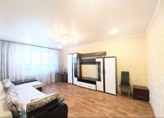 Сдается 1-ком. квартира, 50 м2, Железногорск, улица Ленина, 65