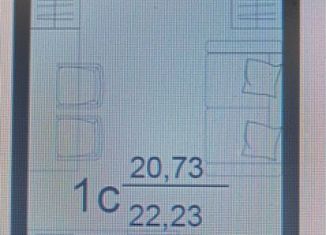 Продается квартира студия, 22.2 м2, Воронежская область