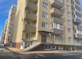 Продажа однокомнатной квартиры, 35 м2, Краснодар, Московская улица, 158/4, ЖК Лучезарный