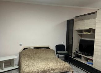 Квартира в аренду студия, 35 м2, Горно-Алтайск, Заринская улица, 26