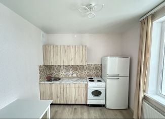 Квартира в аренду студия, 30 м2, Новосибирск, улица Бородина, 54