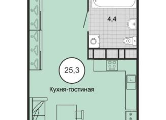 Продажа квартиры студии, 26.3 м2, Ставропольский край, переулок Ландышей, 4