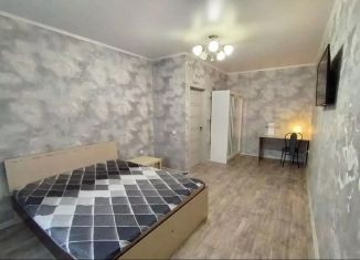 Сдается в аренду 1-ком. квартира, 45 м2, Казань, ЖК Синяя Птица, проспект Ямашева, 103