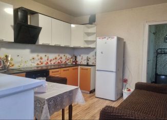 Сдаю 1-ком. квартиру, 40 м2, Ростов-на-Дону, улица Платона Кляты, 5