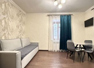 Сдача в аренду 2-ком. квартиры, 44 м2, Кисловодск, улица Авиации, 3