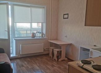 Сдаю в аренду квартиру студию, 20 м2, Новосибирск, улица Титова, 252