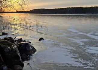 Продаю участок, 25 сот., Ленинградская область