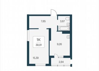 Продаю 1-комнатную квартиру, 38.8 м2, Новосибирск