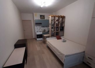 Сдается квартира студия, 30 м2, Санкт-Петербург, Союзный проспект