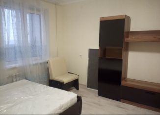 Сдается 1-ком. квартира, 50 м2, Ульяновск, Панорамная улица, 81