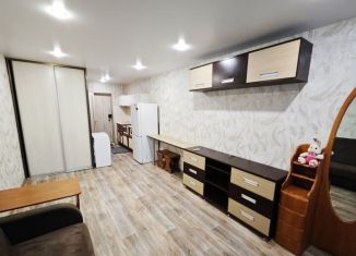 Сдаю в аренду квартиру студию, 24 м2, Приморский край, Сельская улица, 6