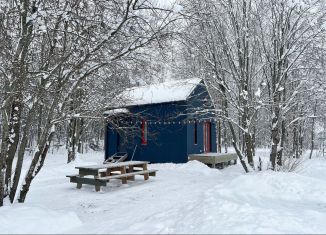 Сдается в аренду дом, 27 м2, деревня Васильево, Васильковая улица, 5