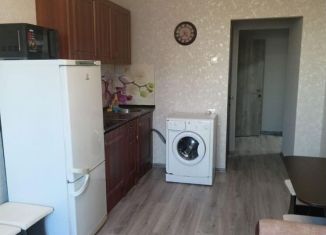 Сдается в аренду 1-комнатная квартира, 48 м2, Новосибирская область, улица Виктора Шевелёва, 20