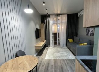 Сдам квартиру студию, 30 м2, Анапа, улица Ленина, 202к2