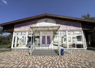 Продаю помещение свободного назначения, 386.4 м2, Нефтекумск, улица 50 лет Пионерии, 2А