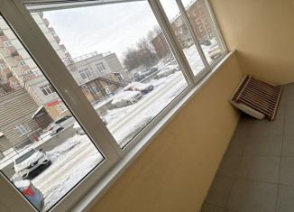 Аренда однокомнатной квартиры, 45 м2, Владимирская область, Добросельская улица, 188Д