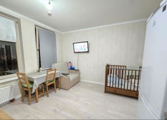 Продается 1-комнатная квартира, 23.4 м2, Москва, Бачуринская улица, 11