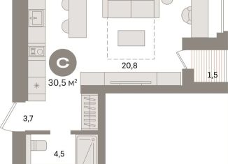 Продается квартира студия, 30.5 м2, Санкт-Петербург, муниципальный округ Морской