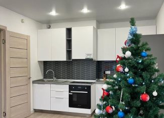 Продажа 1-ком. квартиры, 36 м2, Пенза, Побочинская улица, с7