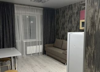 Сдается 1-ком. квартира, 40 м2, Новосибирская область, Заречная улица, 55