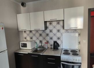 Сдается квартира студия, 25 м2, Санкт-Петербург, Заречная улица, 11к4