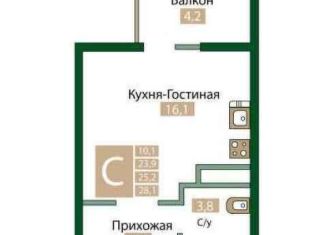 Продается квартира студия, 25.2 м2, посёлок городского типа Молодёжное