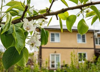 Продается дом, 60 м2, деревня Вартемяги, Петропавловская улица