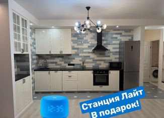 Сдается однокомнатная квартира, 58 м2, Екатеринбург, улица Белинского, 30