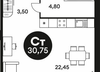 Продаю квартиру студию, 30.5 м2, Ростов-на-Дону, Красноармейская улица, 254