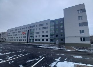 Продается 3-ком. квартира, 66.6 м2, Нижегородская область, Молодёжная улица, 4А