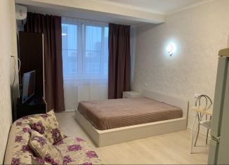 Сдается в аренду квартира студия, 25 м2, Котельники, Сосновая улица, 2, ЖК Белые Росы