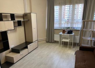 Сдается квартира студия, 21 м2, Москва, Покровская улица, 17Ак2, район Некрасовка