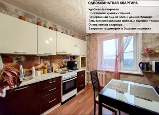 1-комнатная квартира в аренду, 35 м2, Жуковский, Муромская улица, 30