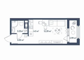 Продам квартиру студию, 24.7 м2, Санкт-Петербург, метро Электросила