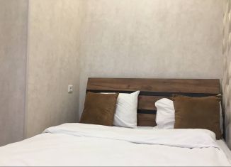 Сдается 1-ком. квартира, 50 м2, Ростов-на-Дону, улица Черепахина, 212