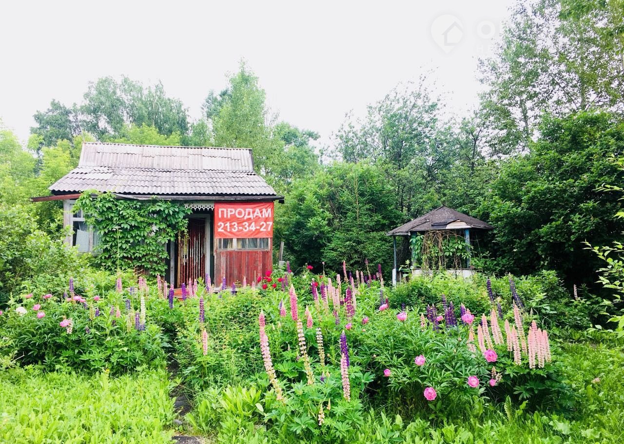 Снт золотая горка. Золотая горка Новосибирск. Золотая дача. Дача на золотой Горке. СНТ Золотая Нива Новосибирск.