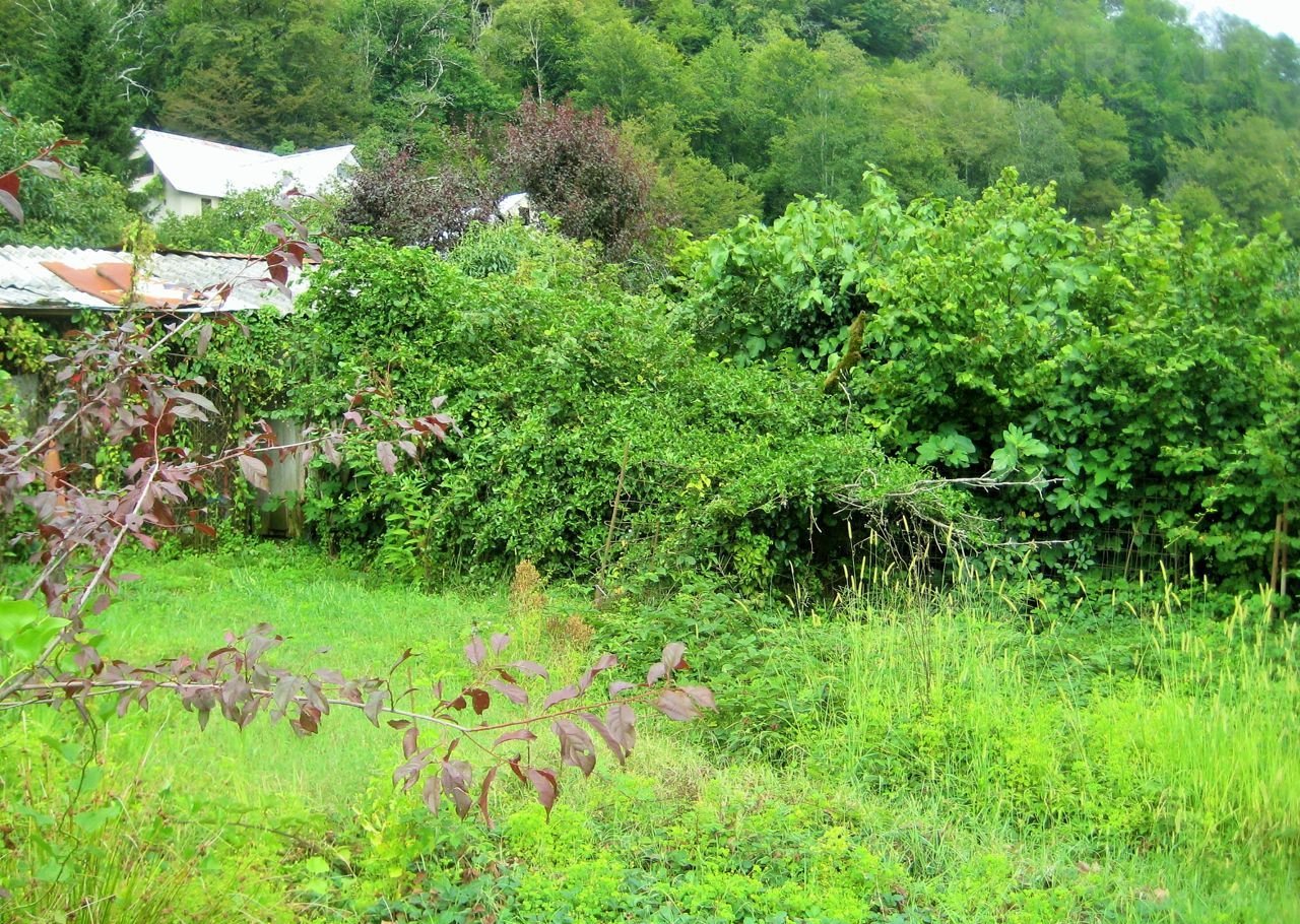 Купить Участок В Сочи Пластунка